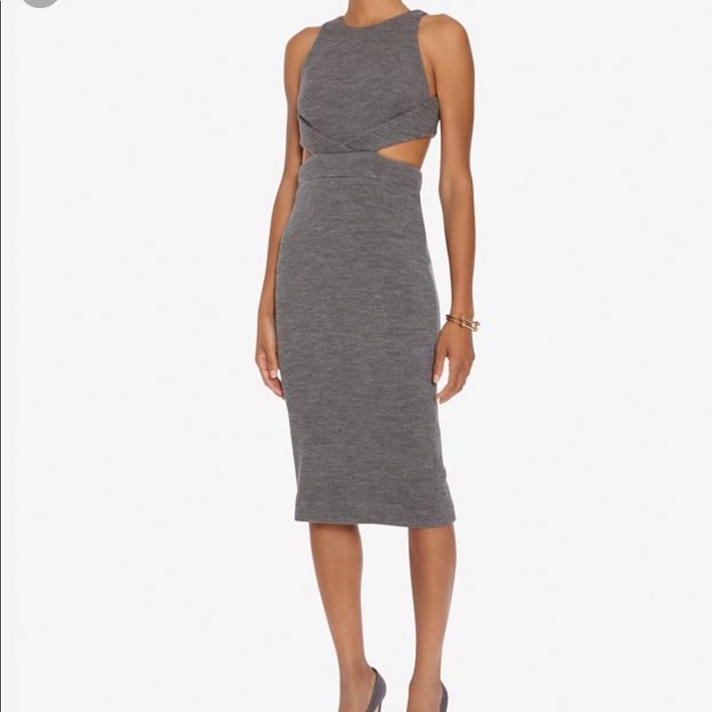 Cushine et Ochs Gray Dress